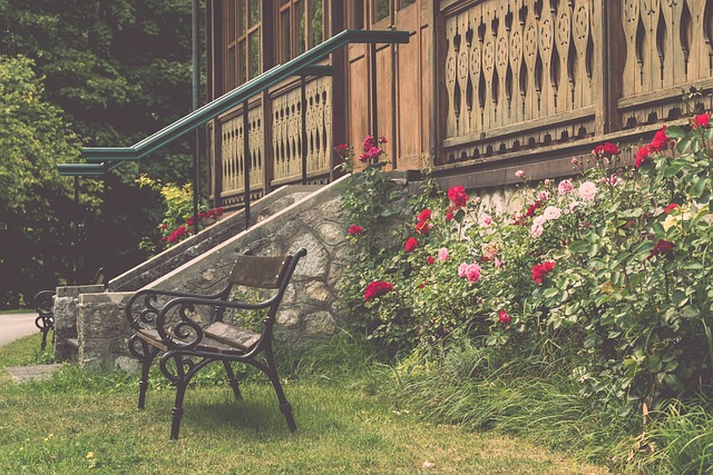 了更多信心 了更多信心