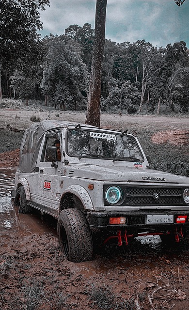 过于依赖外 过于依赖外