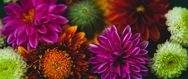 挥霍了高达 挥霍了高达