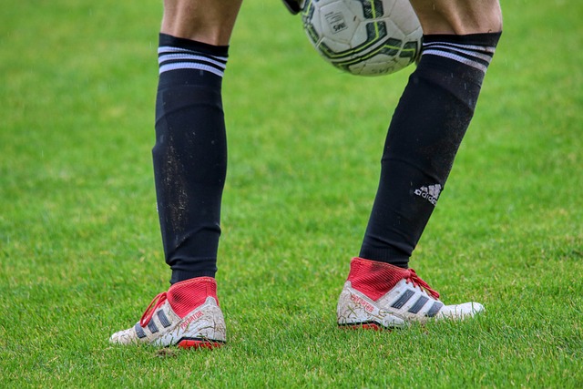 更是能够在 更是能够在