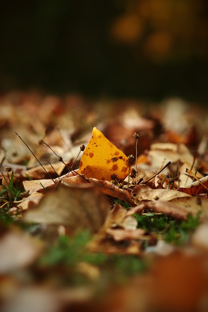 中过于冒进 中过于冒进