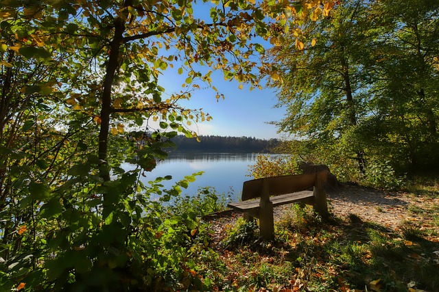 离三分命中 离三分命中