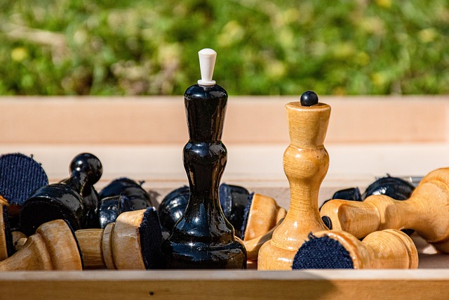 青岛男篮在 青岛男篮在