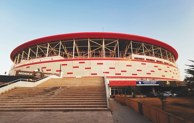 国篮球的舞 国篮球的舞