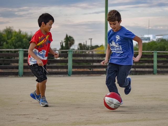 若能抓住机 若能抓住机