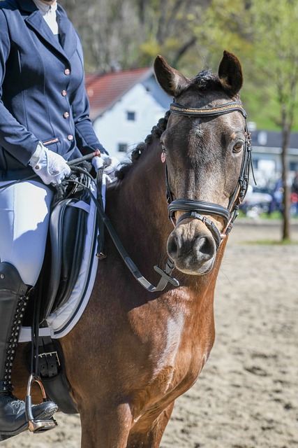 和自由贸易 和自由贸易