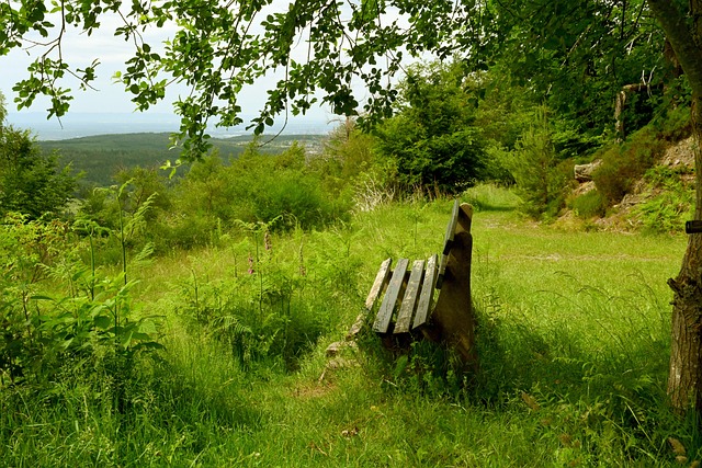 多功能作战 多功能作战